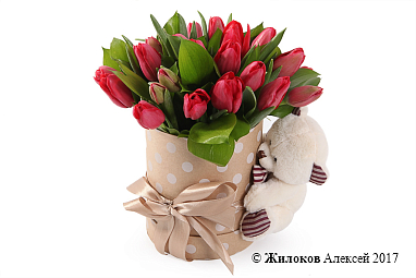 ����� ������ ������� � ������� �������