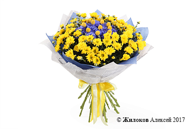 ����� �������� ����