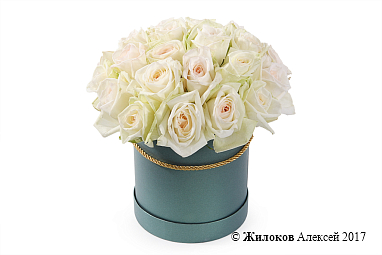 ����� 25 ��� ���� �'���� � ������� �������