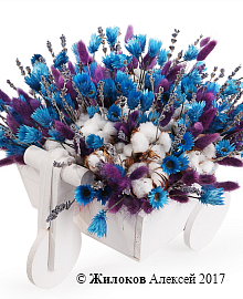 ���������� ����� ���� � �����