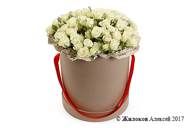 ����� ������� ������� � ������� �������