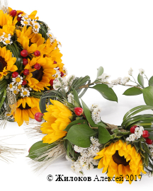 ��������� �������� ����