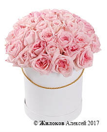 ����� 51 ���� ���� �'���� � ������� �������