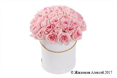 ����� 51 ���� ���� �'���� � ������� �������