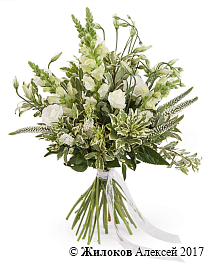 ����� ������