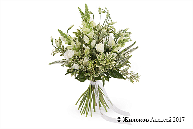 ����� ������