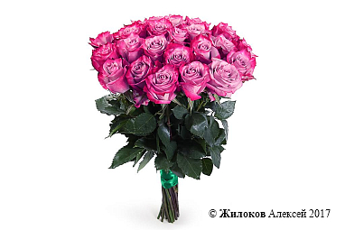 ����� 25 ��� ��� �����