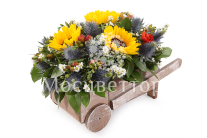 ���������� � ������������ ��������� ���� � �����