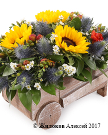 ���������� � ������������ ��������� ���� � �����