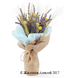 ����� � �������� �������� �����