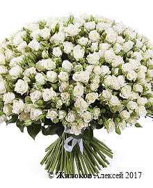 ����� 101 �������� ���� ���������