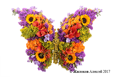 ���������� �������