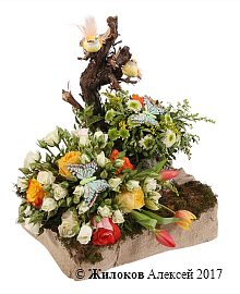 ���������� ������ ������