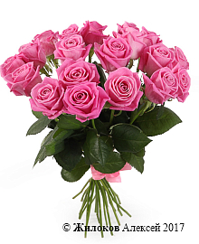 ����� 19 ��� ����