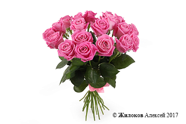 ����� 19 ��� ����