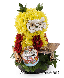 ���������� �� ��������� ������ �����