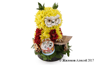 ���������� �� ��������� ������ �����