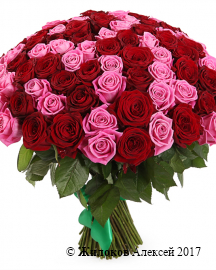 Букет Страсть и нежность, 101 роза