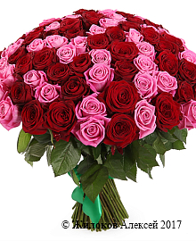 ����� ������� � ��������, 101 ����