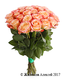 ����� 25 ��� ���� �������