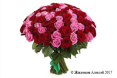 ����� ������� � ��������, 101 ����