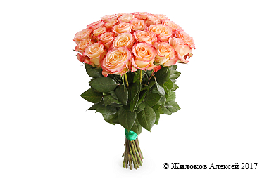 ����� 25 ��� ���� �������