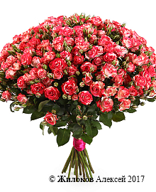 ����� 19 �������� ��� ���� �����