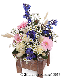 ���������� ������ ���� � �����