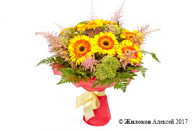 ����� ������� ���������