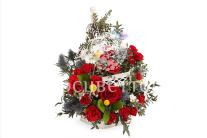 ����� ������ ������