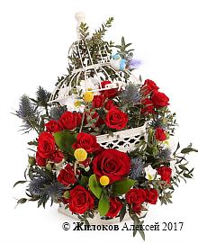 ����� ������ ������