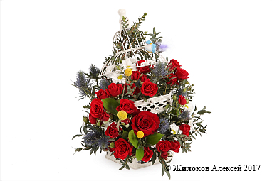 ����� ������ ������