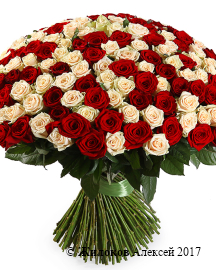 ����� 201 ���� ����