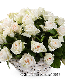 ����� 51 ���� ���� �'���� � �������