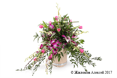 ����� ������ ������