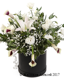 ����� � ������� �������� �������� � ������� �������