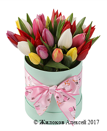 ����� 25 ��������� ���� � ������� ������� (����)