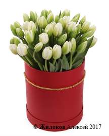 ����� 51 ������� � ������� ������� �������, �����