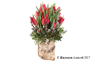 ����� ����� ��� �������