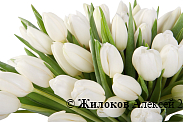 Букет 101 тюльпан, белые