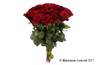 ����� 15 ��� ��� �����