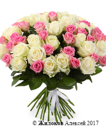 ����� ������ ����������, 51 ����