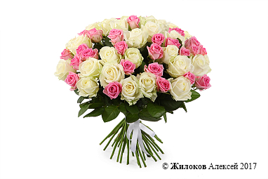 ����� ������ ����������, 51 ����