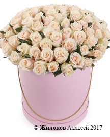 Букет 101 роза Талея в шляпной коробке