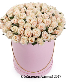 ����� 101 ���� ����� � ������� �������