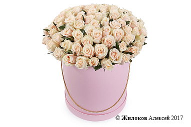 ����� 101 ���� ����� � ������� �������