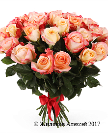 ����� 35 ��� ������