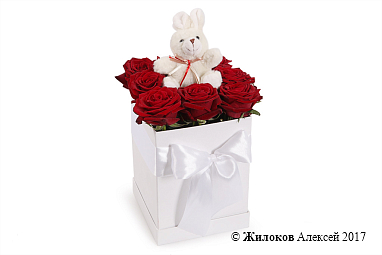 ����� ������ ������� � ������� ������� � ��������