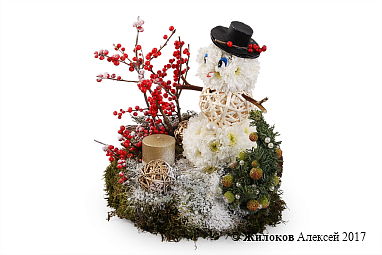 ���������� ������� ����