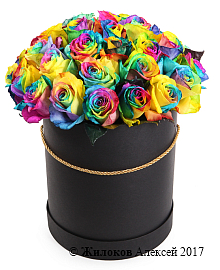 ����� 35 �������� ��� � ������� �������